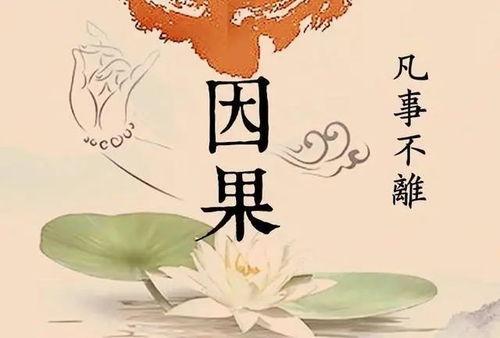 吃瓜的因果循环,吃瓜群众的欢乐与反思