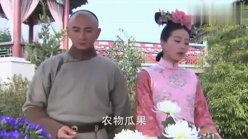 步步惊心吃瓜,宫廷权谋与爱恨情仇的瓜田