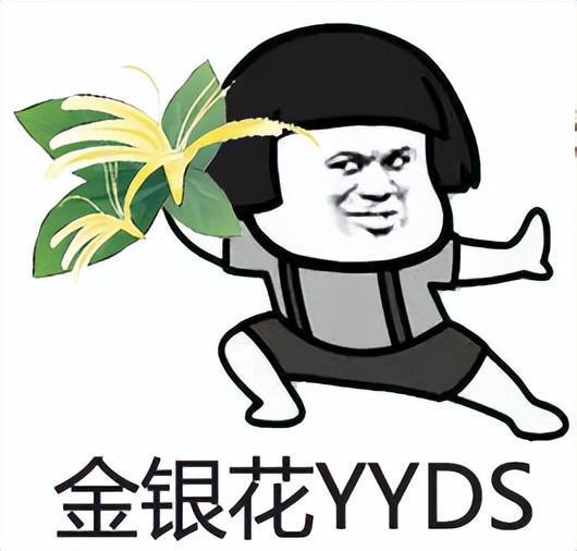 吉言吃瓜,揭秘网络热词背后的趣味与智慧