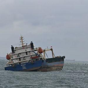 福建船只吃瓜,揭秘背后真相与反思