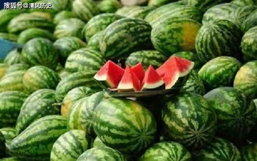 最新吃瓜的网站,明星幕后故事大曝光！