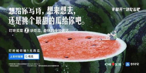 父子俩吃瓜文案,一家人的甜蜜时光