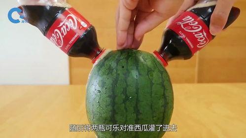 吃瓜的味道,一场味蕾的奇幻之旅