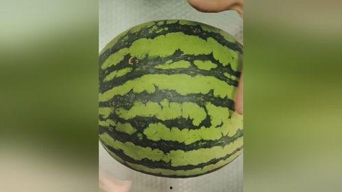 骚瓜咋吃,解锁美味新境界