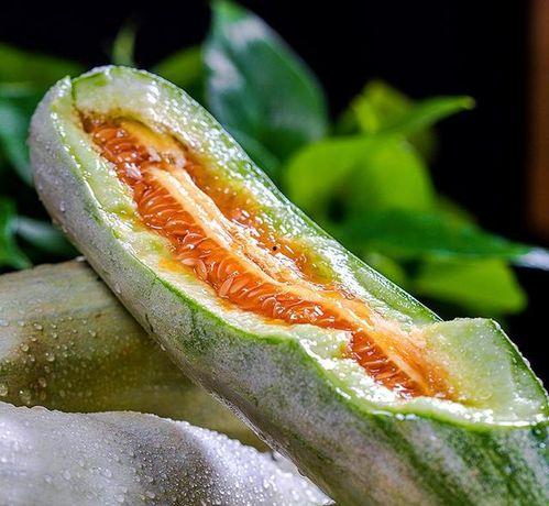 吃播白皮脆瓜,吃播界的清新美味