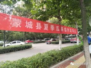 蒙城吃瓜群众,揭秘当地热点事件背后的故事