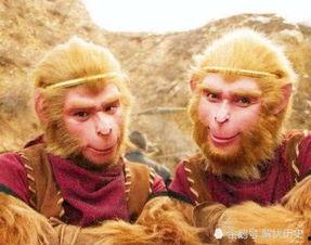 六耳猕猴吃瓜视频,揭秘神秘猴王的双重身份之谜