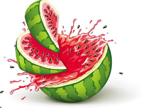 小朋友地里吃瓜