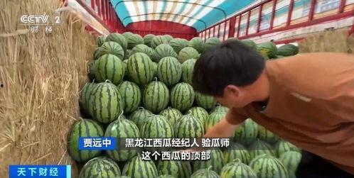 今年吃瓜价格,吃瓜价格大盘点