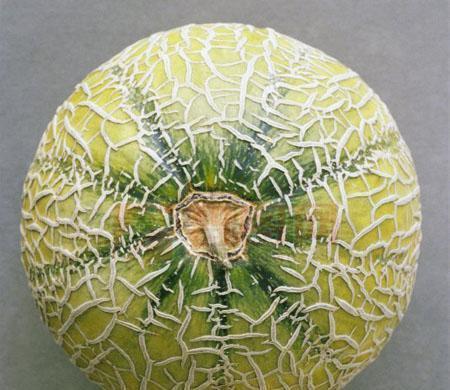 吃哈密瓜自拍说说,我的自拍故事