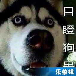 电钻门吃瓜视频