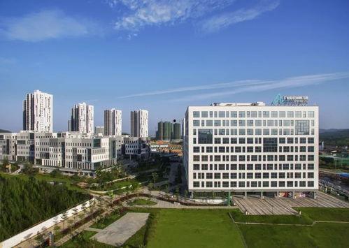 房产大v吃瓜,揭秘行业幕后真相与内幕