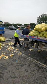 许昌大型吃瓜事件,揭秘背后真相与网络狂欢