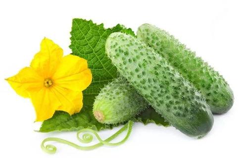 宋婉婉吃瓜系统,揭秘娱乐圈幕后风云