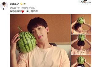 终极吃瓜,揭秘娱乐圈幕后真相