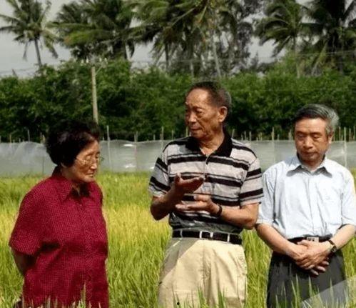 吃瓜王保姆,背后的故事与真相