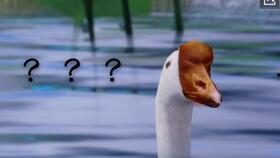 梦如吃瓜,揭秘娱乐圈的甜蜜与苦涩