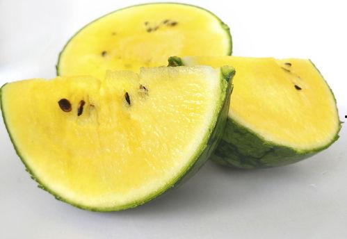 徐州胖晴吃瓜,揭秘网络红人的幕后故事