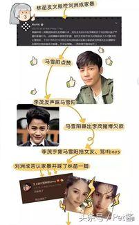 刘洲成吃瓜,娱乐圈风波再起，真相究竟如何？