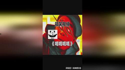 吃瓜呱搞笑视频,笑料百出，欢乐无限