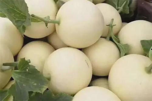 啊朱吃瓜,揭秘娱乐圈幕后故事