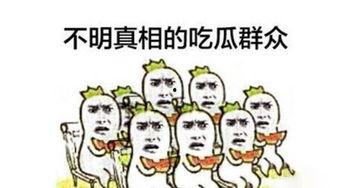 辰逸吃瓜群众,揭秘娱乐圈吃瓜群众的幕后故事