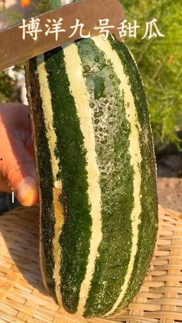 什么瓜可以吃但是没人吃,那些无人问津却美味可口的野果之谜