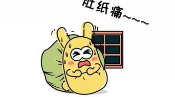 吃瓜群众成功了吗,揭秘网络热议背后的成功之路