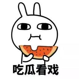 关注热点吃瓜,揭秘娱乐圈最新“瓜田”盛况