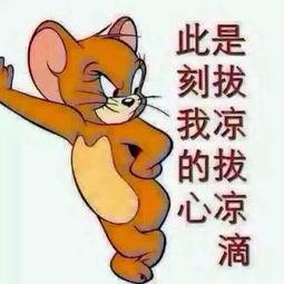 吃瓜群众毛衣图片大全