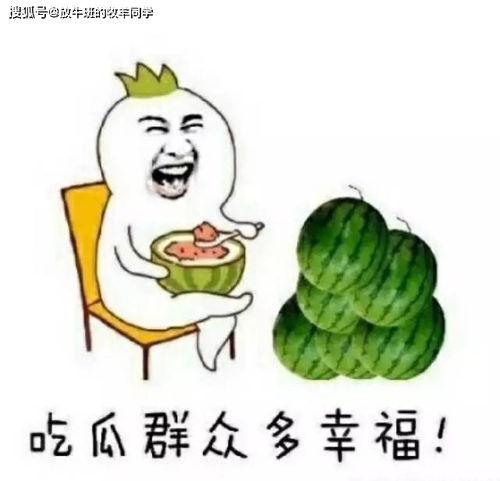 吃瓜不论年龄,全民共享的娱乐盛宴