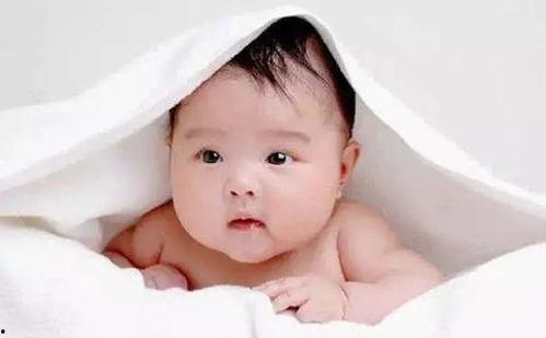 婴儿怎么吃生瓜,安全营养的天然美味探索