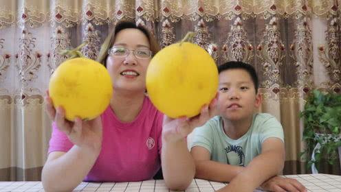 吃黄河蜜瓜直播