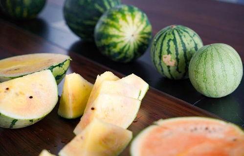 彩虹朋友吃瓜视频