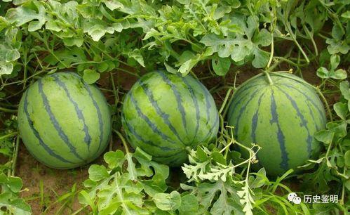 边洗头边吃瓜,轻松享受生活乐趣