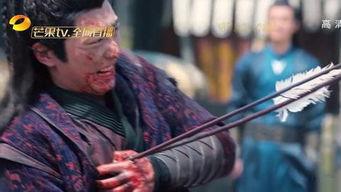 洵瓜怎么吃,解锁美味新体验