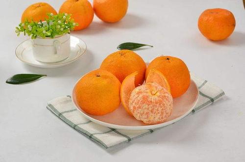 桔子吃蜜瓜,一场味蕾的盛宴